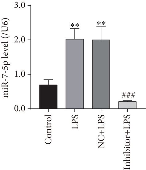 The Mir P Inhibitor Blocked Lps Induced Lx Cell Proliferation And