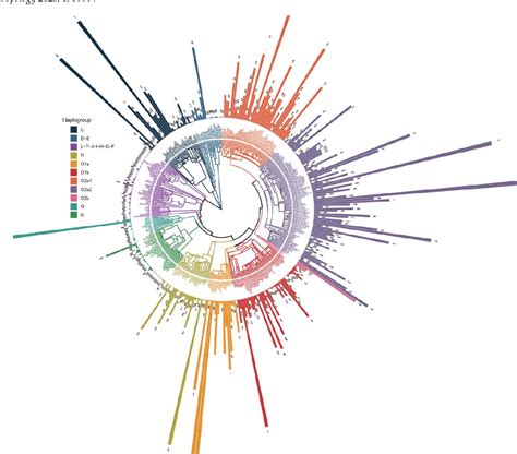 Figure From Fine Scale Genetic Structure Of Geographically Distinct