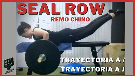 Seal Row Remo Horizontal Bench Row Trayectoria A Trayectoria A J