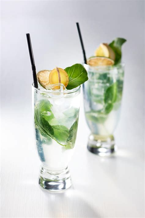 Zamrznjen Gin Tonic - GourmetShop