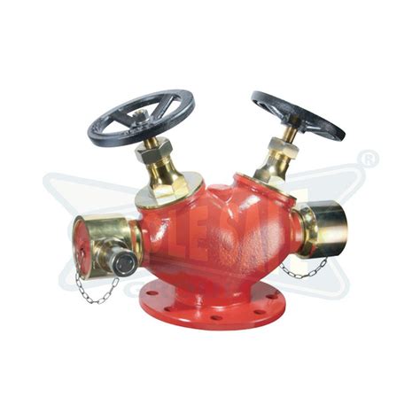 Stainless Steel Fire Fighting Double Headed Hydrant Valve Id