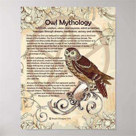 Owl Mythology Poster Zazzle
