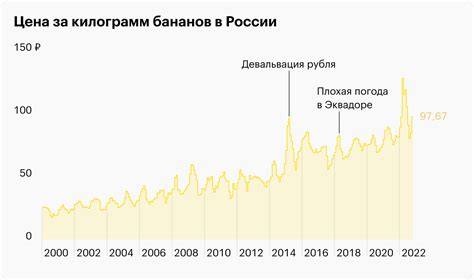 Бананы в России: откуда привозят, статистика потребления, цены