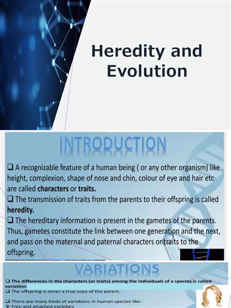 Heredity X Pdf Dominance Genetics Sex