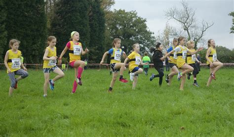 Junior Cross Country Team Have Sights On Further Success The