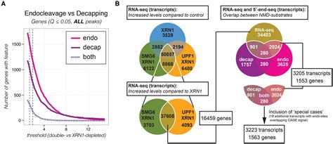 Corrigendum Human Nonsense Mediated Rna Decay Initiates Widely By