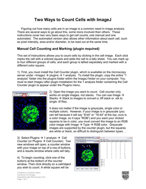 CellCounting