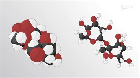 Molecular Models Ball And Stick And Space Filling Models Chemistry