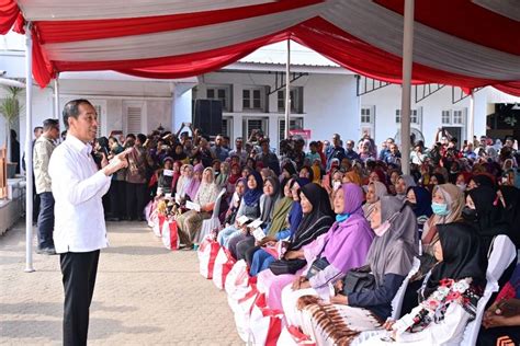 Pemilik 22 Paten Dosen Undip Teliti Jahe Jadi Obat Antikanker Kompas