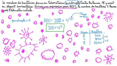 Découvrir 101 Imagen Croissance Exponentielle Formule Fr