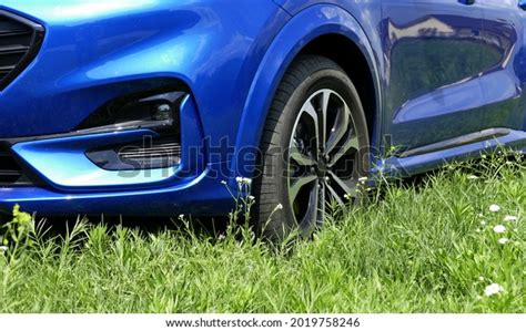 Car On Lawn Grass Outdoor Parking Stock Photo 2019758246 Shutterstock