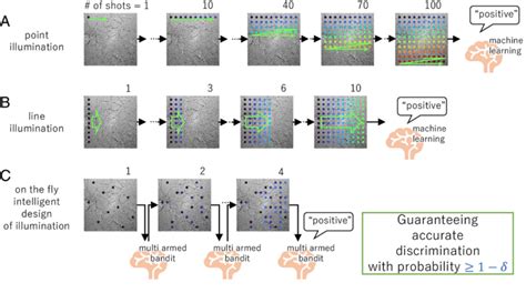 Artificial Intelligence Based On The Fly Raman Spectroscopy Method