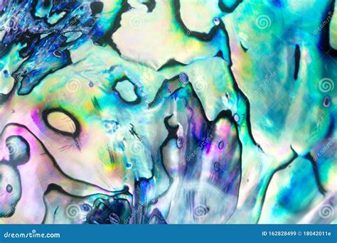 Close Up Multicolour Texture Background of Paua Shell, Haliotis Iris or Abalone Shell Stock ...