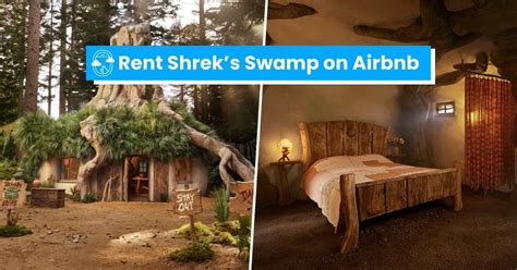 Look You Can Now Rent Shreks Swamp On Airbnb