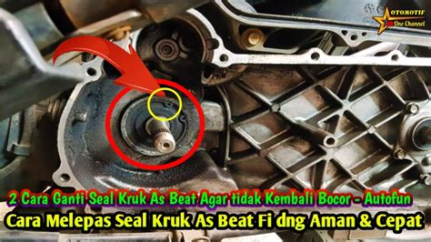 Cara Ganti Seal Kruk As Beat Dengan Aman Dan Cepat Agar Tidak Kembali