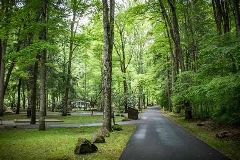 Guide To Camping In Great Smoky Mountain National Park Outdoor Project