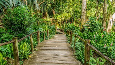 Garden Of The Sleeping Giant Nadi Fidji R Servez Des Tickets Pour