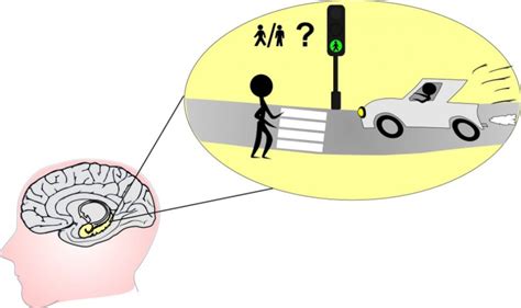 Sensory Conflict Situational Awareness Matters™