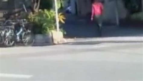 Sharking Skirt Adventure With Sexy Cutie Having Surprised Encounter TNAFlix Porn Videos
