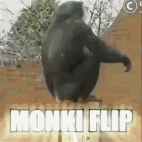 Monke Parkour : r/ape