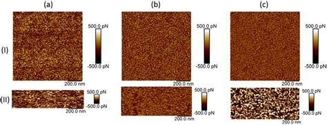 Figure 1 From Morphology And Surface Properties Of High Strength