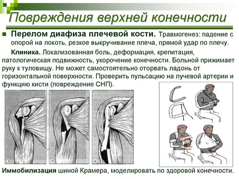 Неотложные состояния при травмах и несчастных случаях - презентация онлайн
