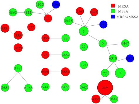 Frontiers Molecular Typing And Characterization Of Staphylococcus