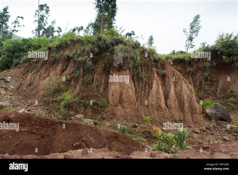 Gurage Ethiopia October 2013 Serious Erosion Due To Bad Land Management Along The Partly