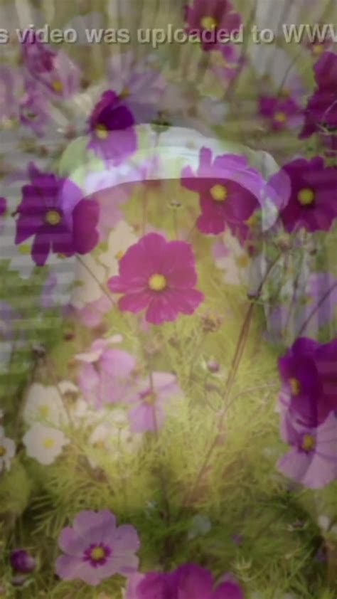 Hot Video Nude Video On YouTube Nudeleted