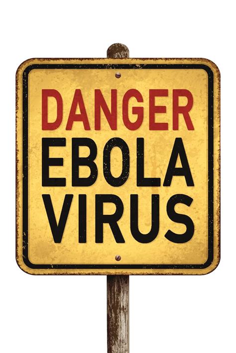 Weathered Danger Ebola Virus Warning Sign Mural Inch Poster 36x54 Inch