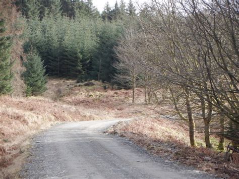 Logging Road Margree Forest Richard Webb Geograph Britain And Ireland