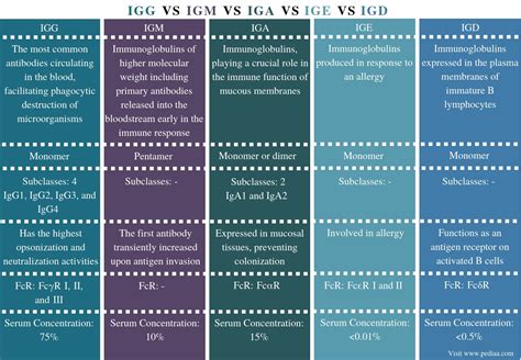 What is the Difference Between IgG IgM IgA IgE and IgD - Pediaa.Com