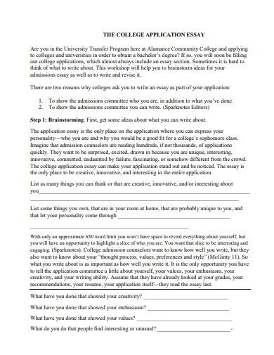 College Application Essay 10 Examples Format How To Write Pdf