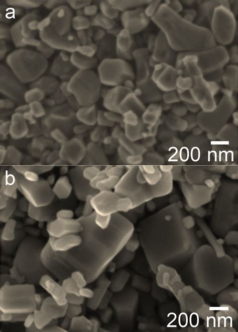 Color Online Sem Images Of The Water Predosed Zno Nanopowder A And