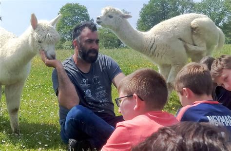 La Ferme P Dagogique Ferme Brin De Laine Brin De Paille