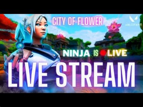 Valorant Live Stream Road To K Ninja Is Live Valorant Games