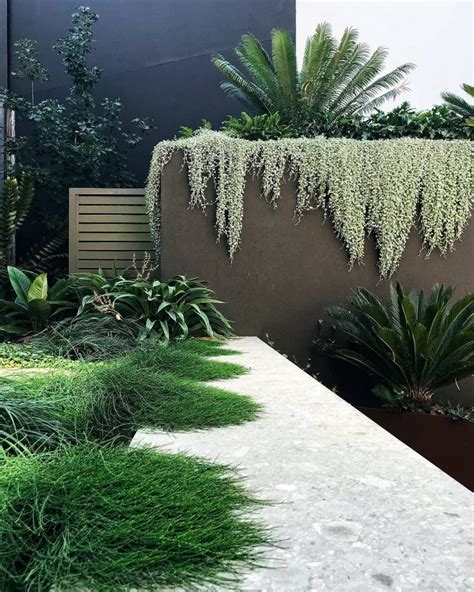 Waterwise Landscaping Made Easy Outdoor World Wa