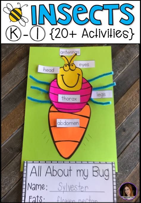 Insect 20 Activities For Kindergarten Insect Activities Insects Kindergarten Insects