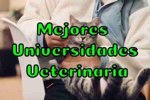 Cu Les Son Las Mejores Universidades De Veterinaria