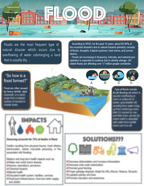 Solution Flood Infographic Studypool