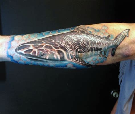 Tiger Shark Tattoos Tribal