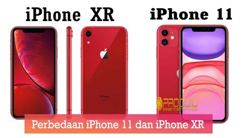 Perbedaan IPhone 11 Dan IPhone XR Perlukah Ganti Baru