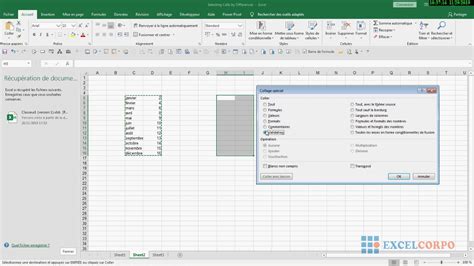 Comment Copier Coller Une Plage De Cellules Dans Excel Youtube