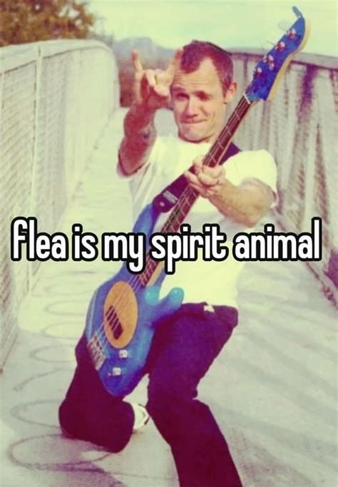 Rhcp Red Hot Chili Peppers Poster Rhcp Red Hot Chili Peppers