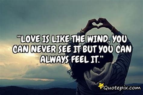 Funny Wind Quotes Quotesgram