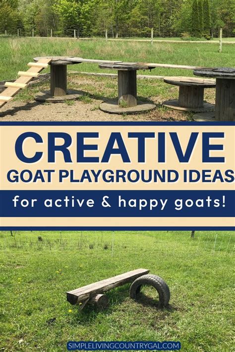 Creative Ways To Make A Playground Your Goats Will Love Artofit