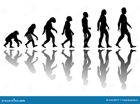 Silhouette man evolution stock vector. Illustration of hominid - 61018477