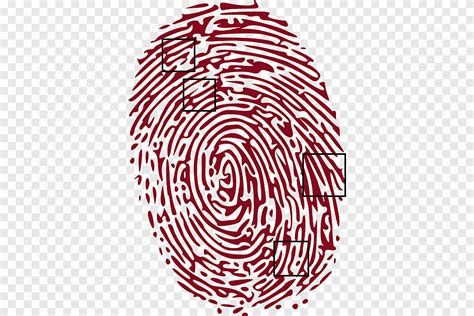 Forensic Science Fingerprint Crime Spiral Symmetry Png Pngegg