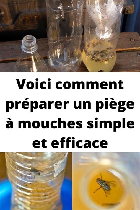 Voici Comment Pr Parer Un Pi Ge Mouches Simple Et Efficace