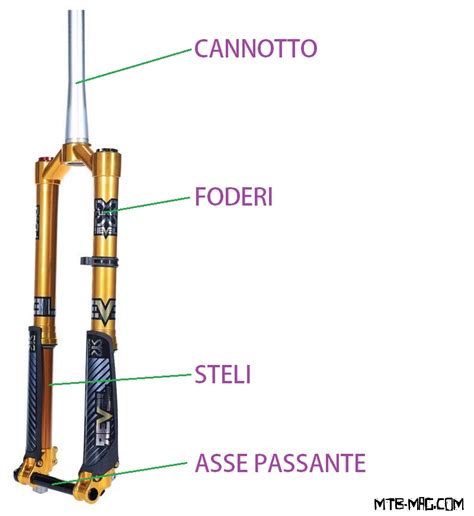 Forcelle A Steli Rovesciati Vantaggi E Svantaggi MTB Mag